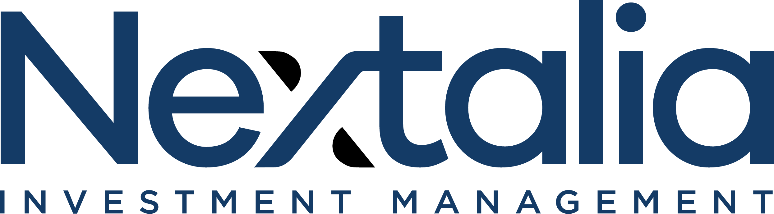 Asset 5@4x NEXITALIA NEW LOGO
