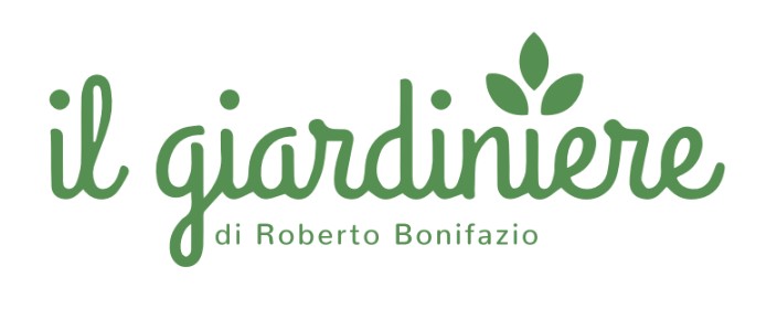 bonifazio